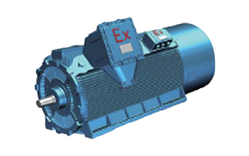 YBJC/YBBP HV Flameproof Motor